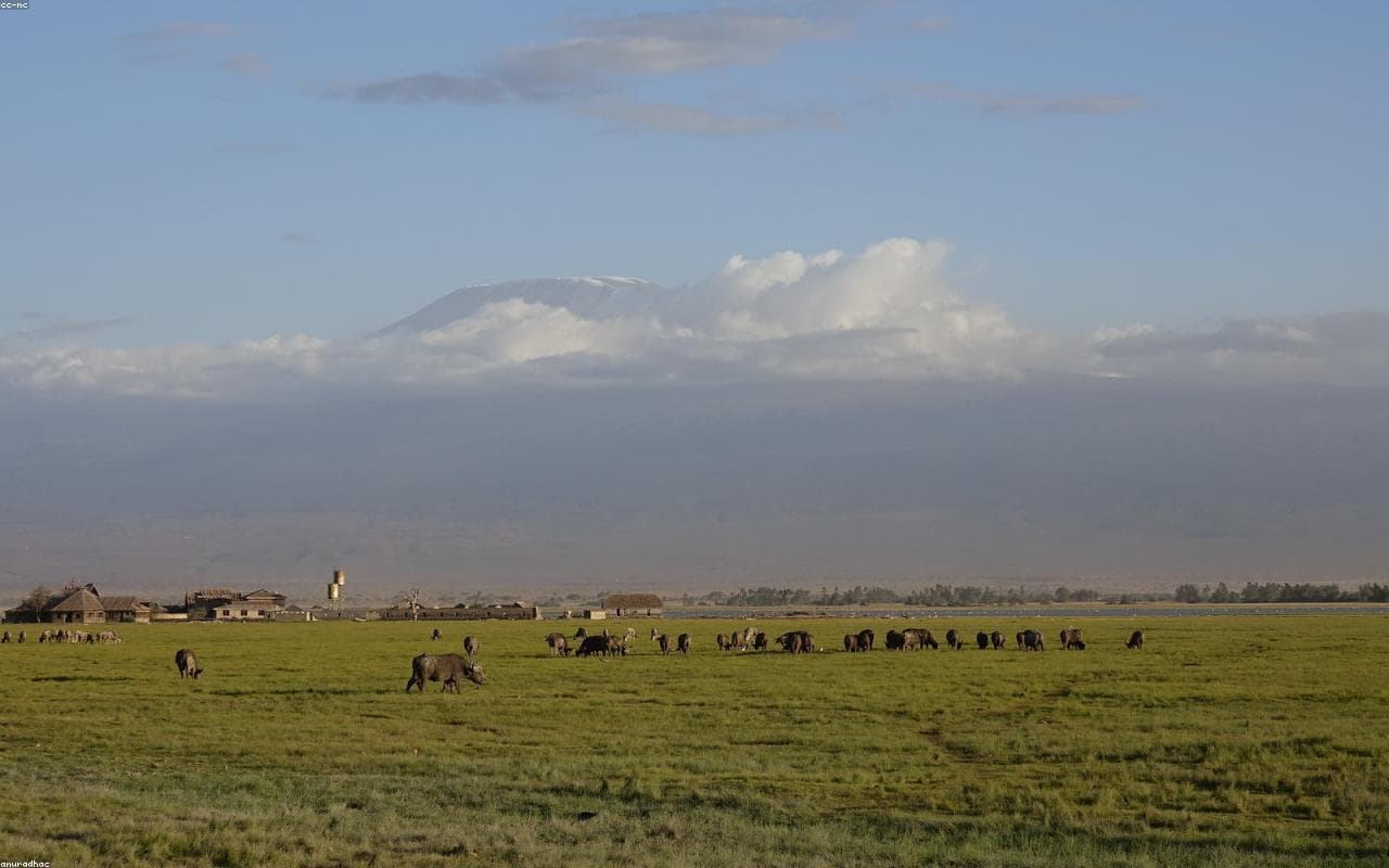 Amboseli Helicopter Safari under Kilimanjaro — view 2
