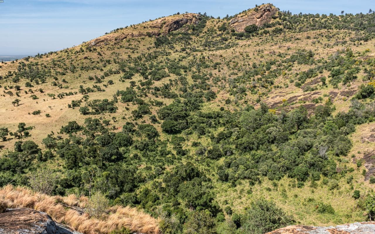 Loisaba Scenic Flight & Conservancy