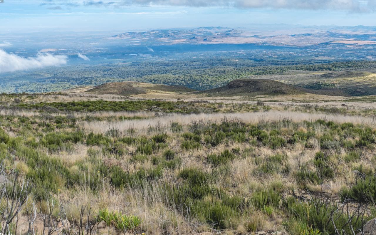 Loisaba Scenic Flight & Conservancy — view 1