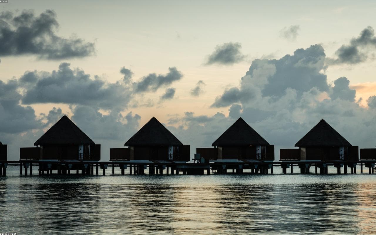 Maldives Seaplane Honeymoon